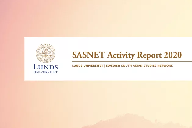 SASNET Activity Report 2020 cover page