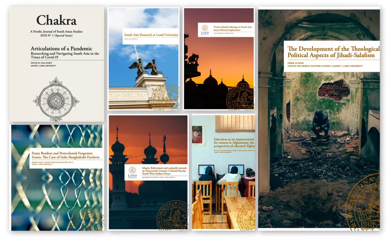 Collage showing 7 cover pages of recent SASNET reports.